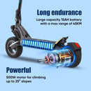 ESA GTR 1000W Peak Electric Scooter | 50km Range | Off-Road & City Commuter